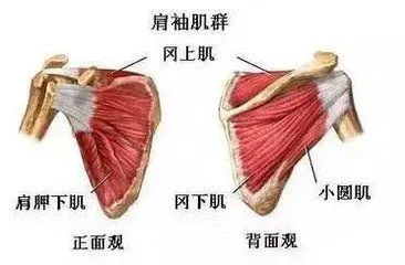 制定篮球交流计划以促进个人技能发展的方法_2